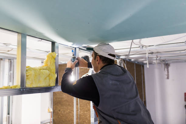 Best Commercial Insulation in Fredericksburg, TX